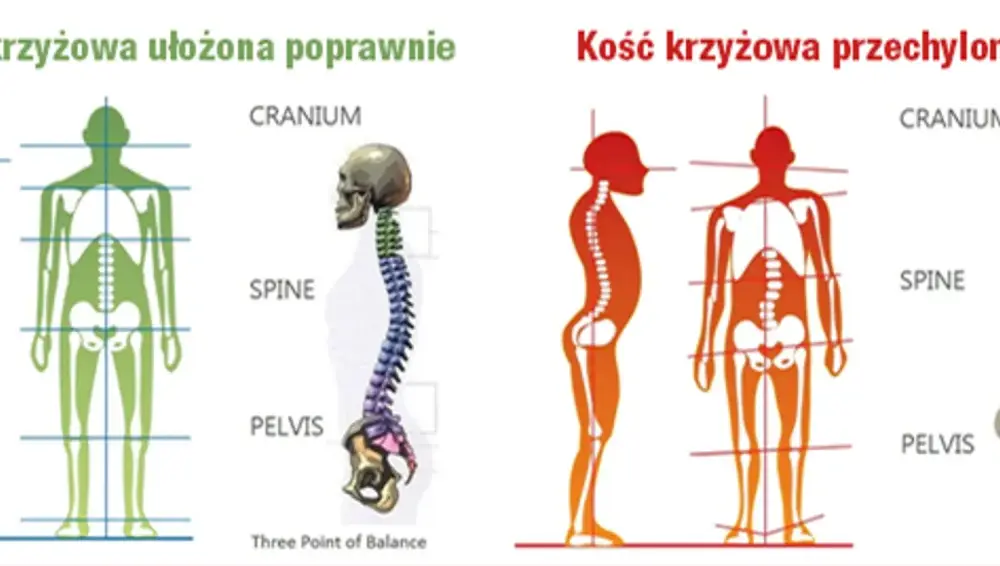 Kość krzyżowa - klucz do stabilności. Kiedy ból jest groźny?
