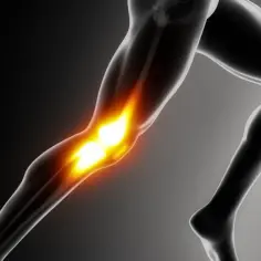 Anatomia ludzkiej nogi z podświetlonym stawem kolanowym na tle gradientu.